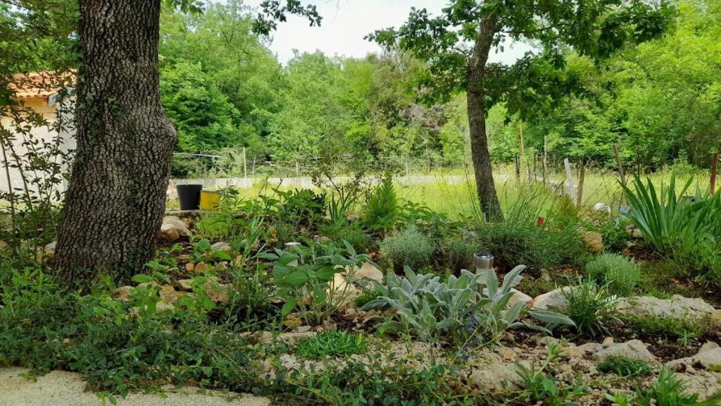 Pinezići Apartments & Room Danijel מראה חיצוני תמונה