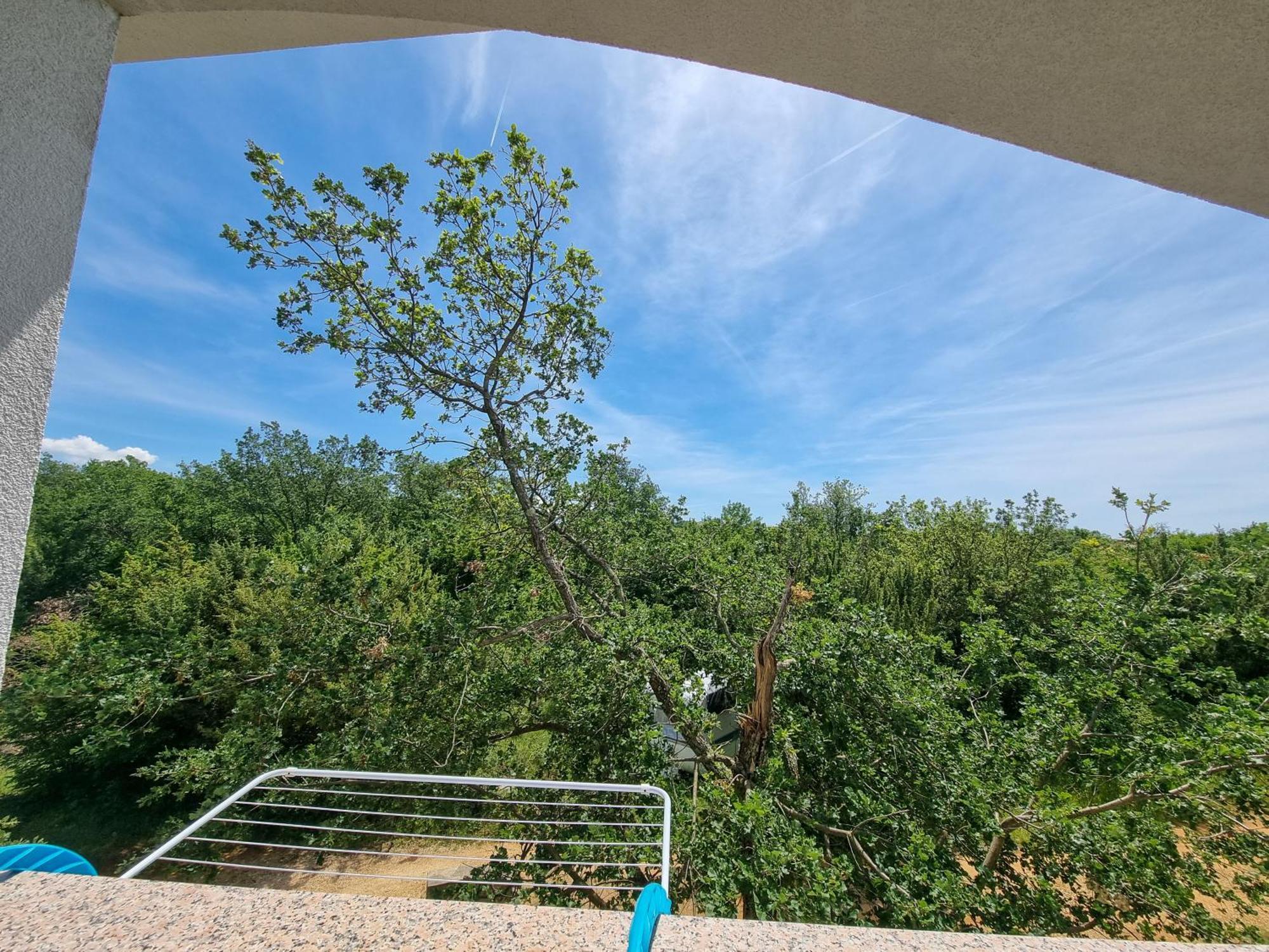 Pinezići Apartments & Room Danijel מראה חיצוני תמונה
